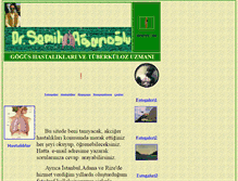 Tablet Screenshot of birnefes.com